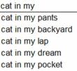 “Accidental Workplace Nudity” and Other Weird Searches